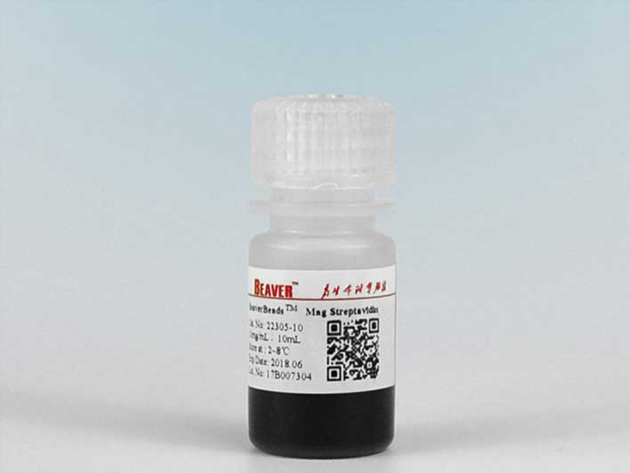 BeaverBeads Streptavidin鏈霉親和素磁珠